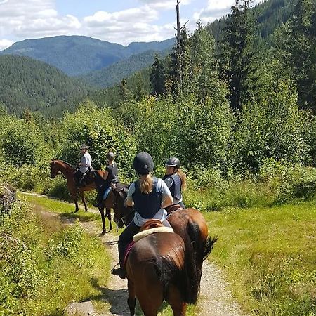 River Run Ranch - Telemark Drangedal 外观 照片