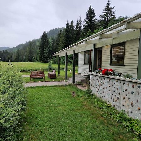 River Run Ranch - Telemark Drangedal 外观 照片