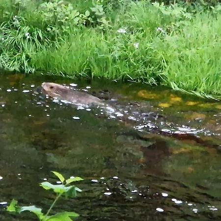 River Run Ranch - Telemark Drangedal 外观 照片