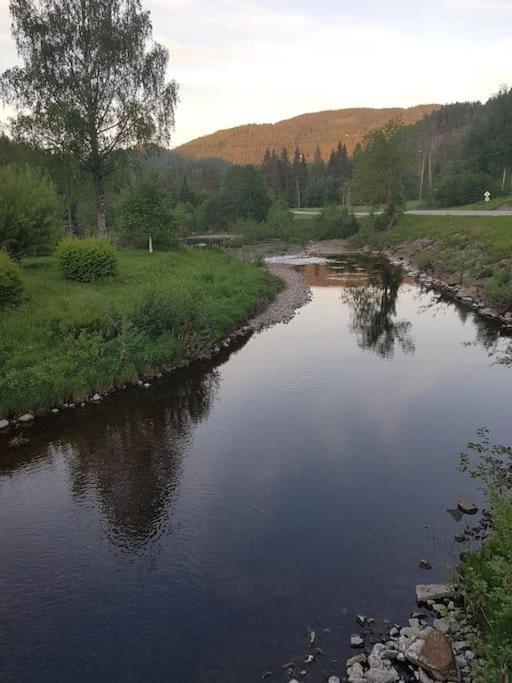 River Run Ranch - Telemark Drangedal 外观 照片
