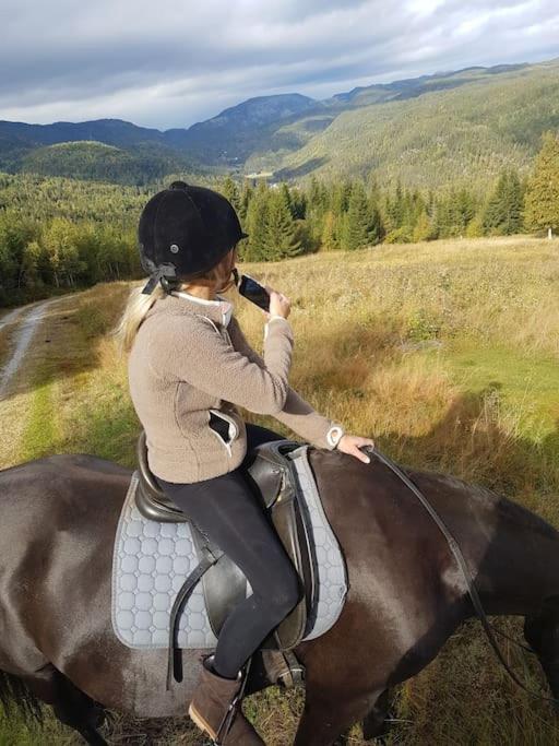 River Run Ranch - Telemark Drangedal 外观 照片