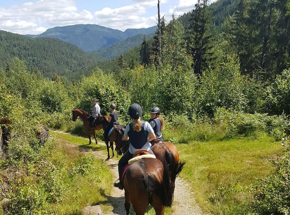 River Run Ranch - Telemark Drangedal 外观 照片
