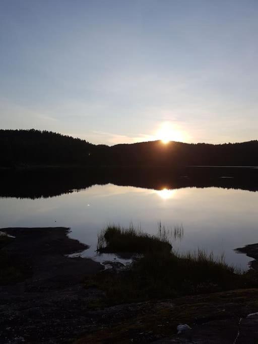 River Run Ranch - Telemark Drangedal 外观 照片