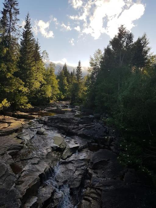 River Run Ranch - Telemark Drangedal 外观 照片