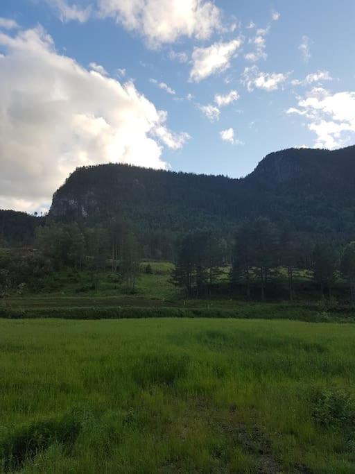 River Run Ranch - Telemark Drangedal 外观 照片