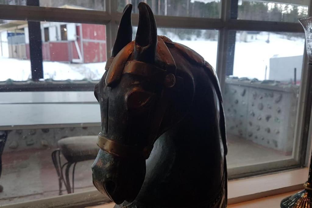 River Run Ranch - Telemark Drangedal 外观 照片