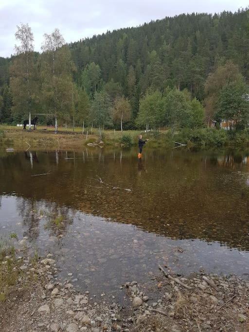 River Run Ranch - Telemark Drangedal 外观 照片