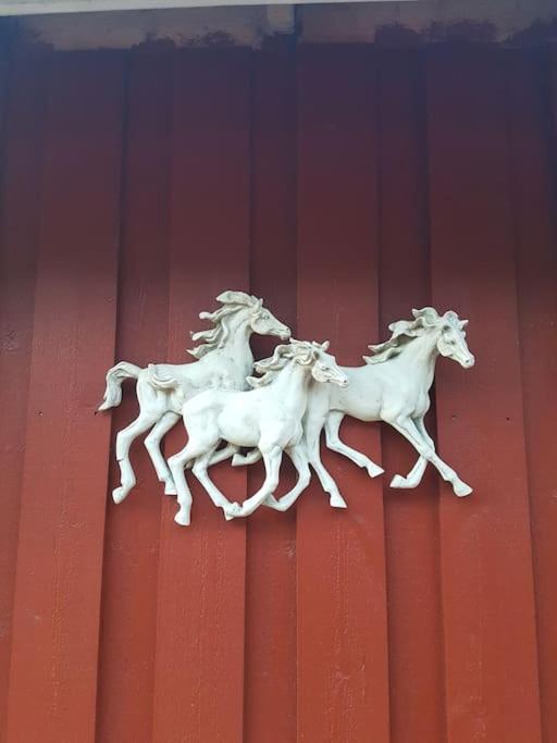 River Run Ranch - Telemark Drangedal 外观 照片