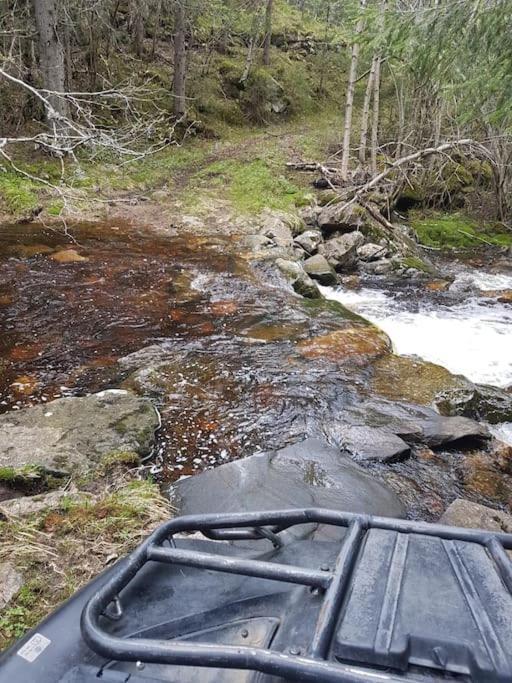 River Run Ranch - Telemark Drangedal 外观 照片