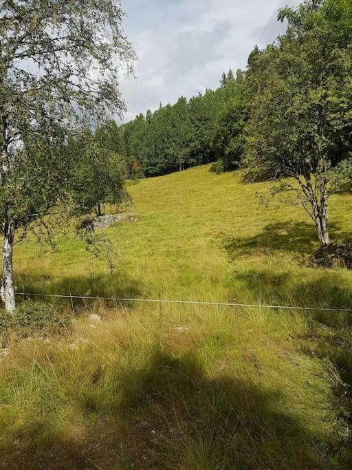 River Run Ranch - Telemark Drangedal 外观 照片