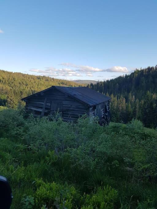 River Run Ranch - Telemark Drangedal 外观 照片