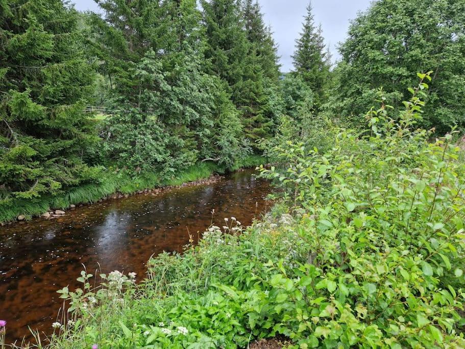 River Run Ranch - Telemark Drangedal 外观 照片