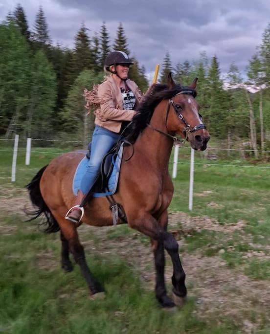 River Run Ranch - Telemark Drangedal 外观 照片