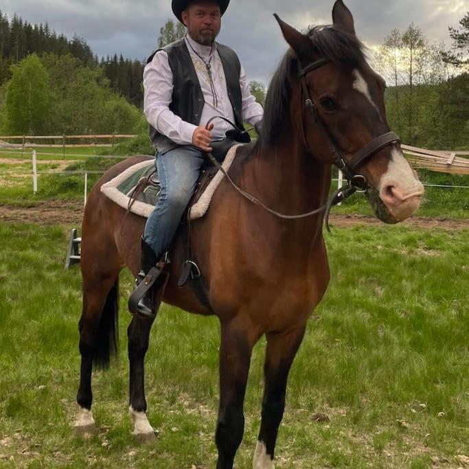River Run Ranch - Telemark Drangedal 外观 照片
