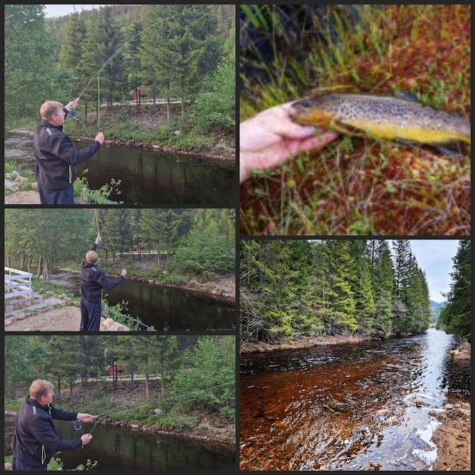 River Run Ranch - Telemark Drangedal 外观 照片