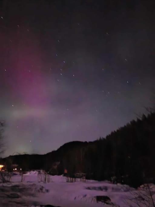 River Run Ranch - Telemark Drangedal 外观 照片