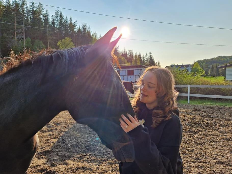 River Run Ranch - Telemark Drangedal 外观 照片